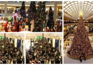 Скоро Новый год и в торговые центры хлынут народ в поисках подарков, наполнятся кафе и рестораны…
